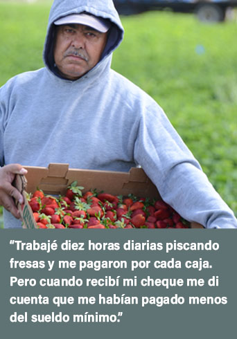 Trabajé diez horas diarias piscando fresas y me pagaron por cada caja. Pero cuando recibí mi cheque me di cuenta que me habían pagado menos del sueldo mínimo.